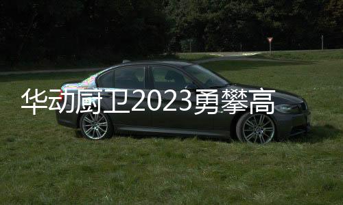 可靠、华动团结果敢