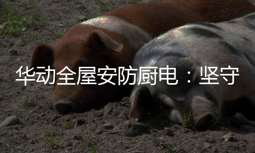 轻快满足各种烹饪需求