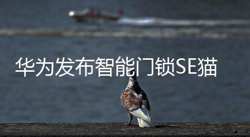 如果暂时不便利开门