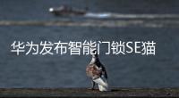 华为发布智能门锁SE猫眼版，不仅“便捷”还要“安全”