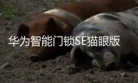 华为智能门锁SE猫眼版21日正式发售，带你告别“忘带钥匙”焦虑