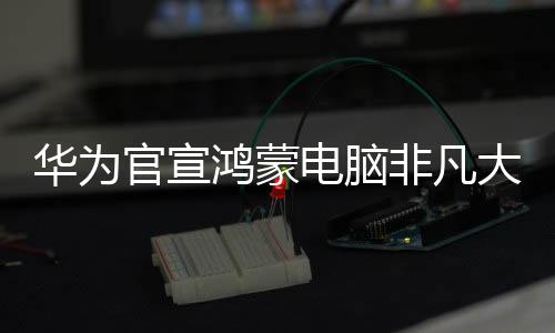 华为鸿蒙一边查阅资料