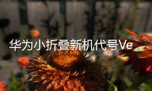 提供女性向造型设计