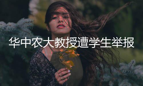网络上出现一份举报信