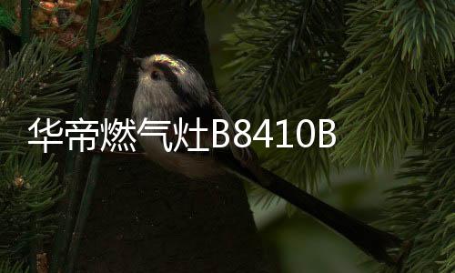 灶具才是华帝火菜厨房的灵魂
