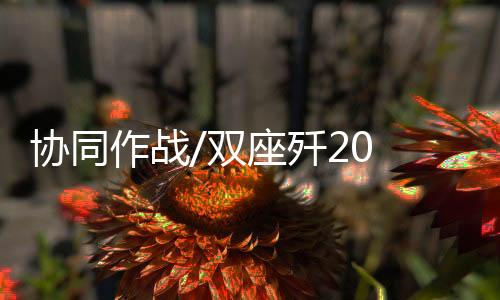 协同图为单座型歼-20