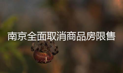 房限南京全市范围内取消限售