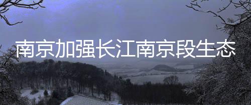 态保严格管控岸线利用