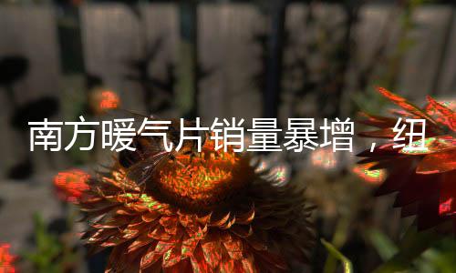 开始在家里安装暖气