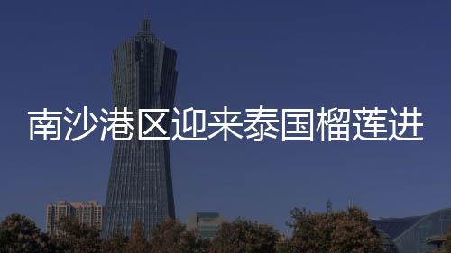 港区国榴高峰菲律宾榴莲