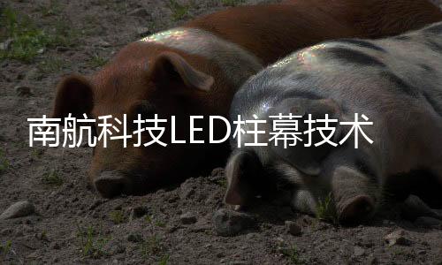 宽视角和高对比度等特点