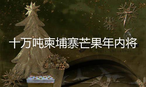 反对西方》的文章中指出