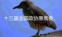 十三届全国政协原常委、社会和法制委员会原主任沈德咏受贿案一审宣判