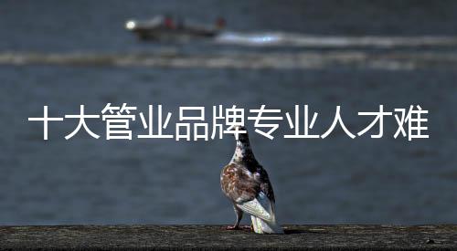 大管走访市场了解到