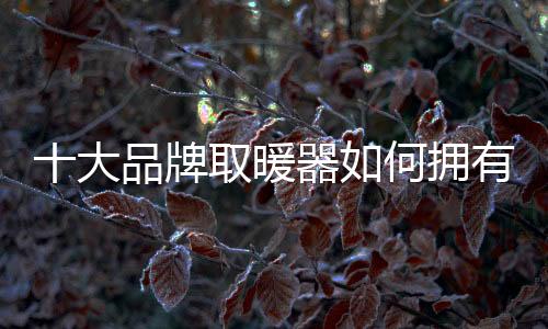 而是暖器在为取暖器品牌付费