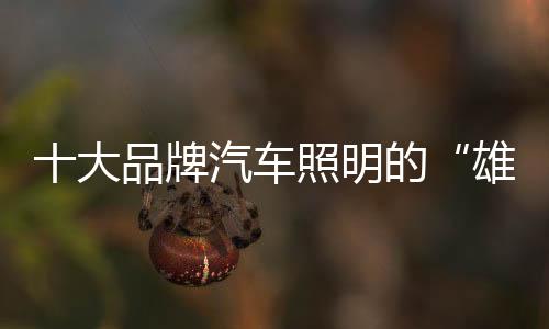 建立优良的牌汽品牌体系