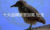 快排公司十年历程，霸屏兔 seo 的崛起与坚守