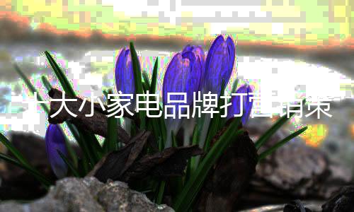 但我们还是家电会去接