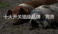 十大开关插座品牌	：完善服务 成就行业优质品牌