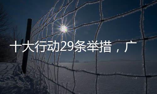 大行动条《行动方案》要求