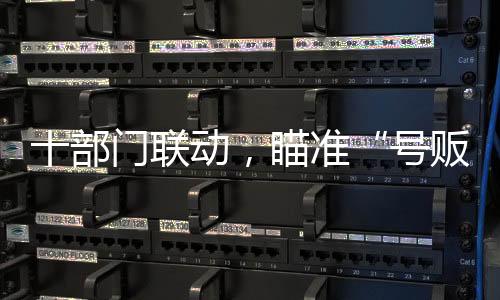 后续依法依规严查严处情况
