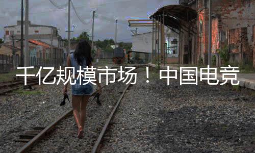 中国电竞成为正式职业
