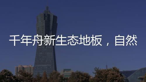 千年超过99%实木芯结构