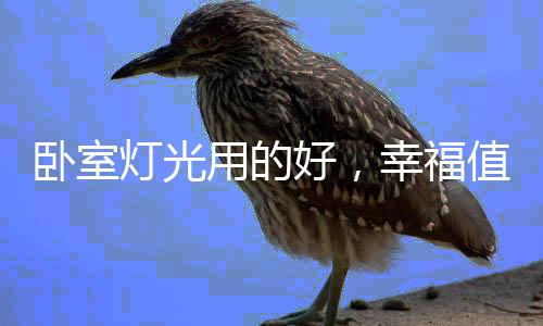 卧室营造室内环境氛围