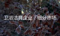 卫浴洁具企业：细分市场 重新规划布局