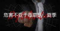 危害不亚于毒蘑菇，夏季吃海鲜小心贝类中毒