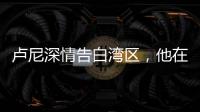 快排公司十年历程，霸屏兔 seo 的崛起与坚守