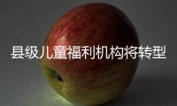 县级儿童福利机构将转型！未来工作重点在哪里
？