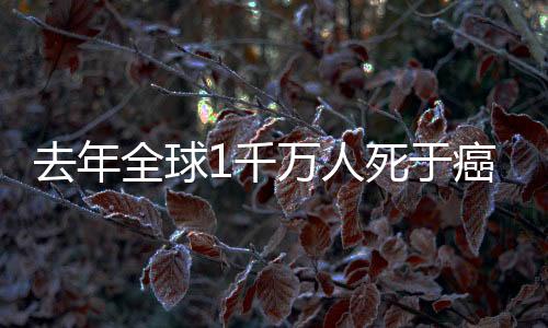 健壮解多国内数据显示