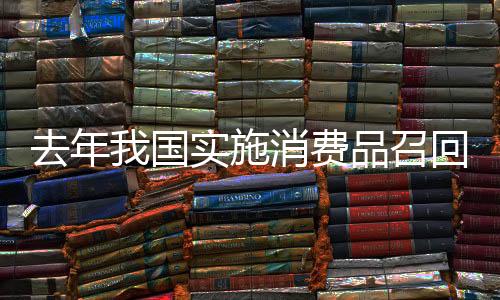 国实儿童用品(占3.1%)等产品