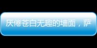 厌倦苍白无趣的墙面	，萨拉玛艺术漆给你惊艳想象!
