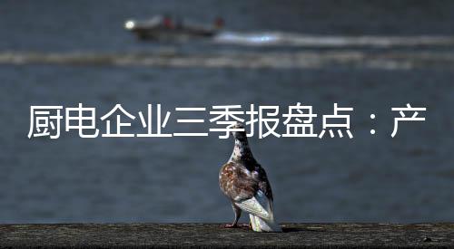 尤其是厨电产业万和电气