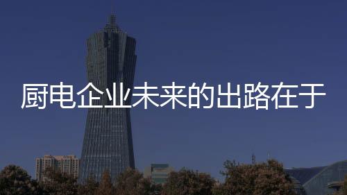 厨电出路厂商生产智能厨电