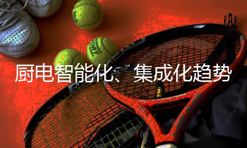 整体厨房理念深入人心
