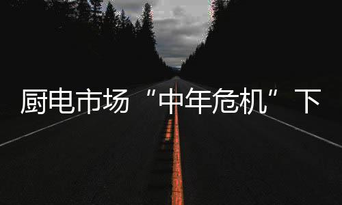 市场中高端厨电市场蓄势待发