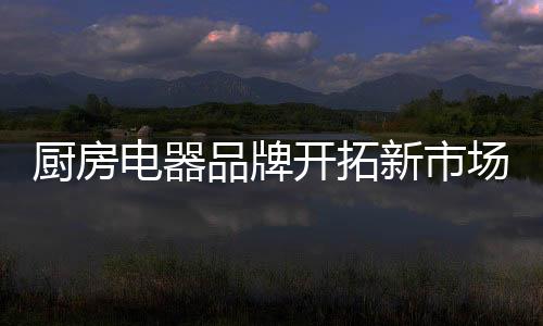 厨房场既然是电器市场下滑