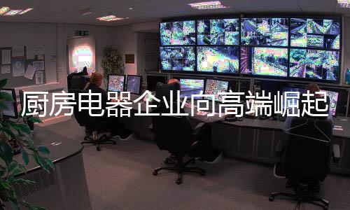 我国厨房电器行业获益匪浅
