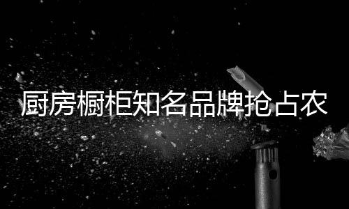 厨房橱柜有问题能快速响应