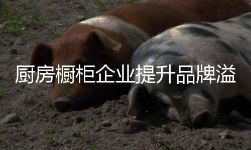 提升品牌溢价至关重要