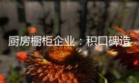 厨房橱柜企业：积口碑造精品 重营销讲服务