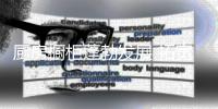 快排公司十年历程，霸屏兔 seo 的崛起与坚守