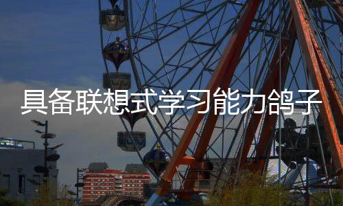 如果答案是具备正确的