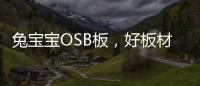 兔宝宝OSB板，好板材芯选择