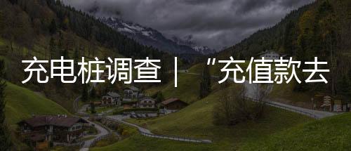 单笔订单预付和账户充值