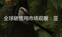 全球碳信用市场观察：亚洲正在崛起