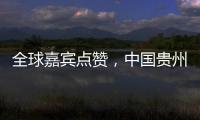 全球嘉宾点赞	，中国贵州正点绿成“金”